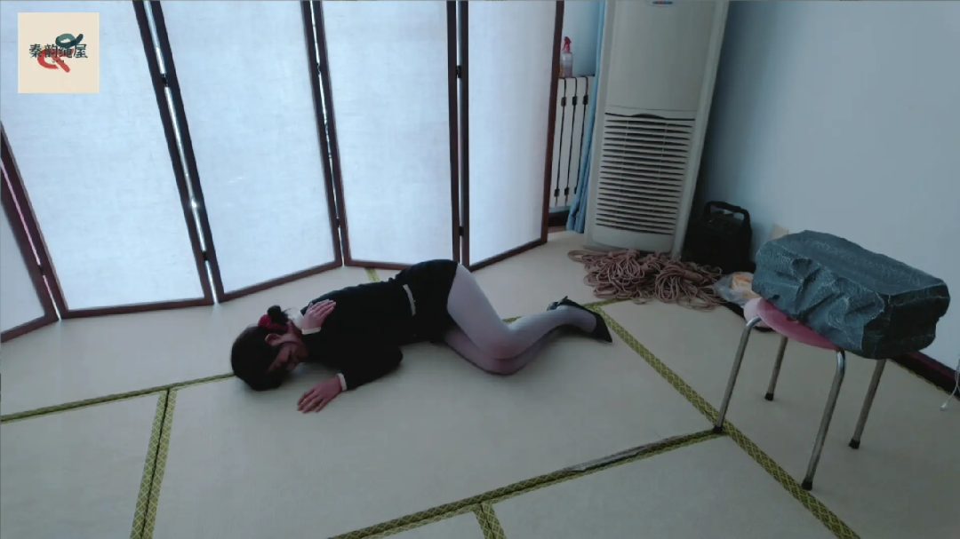 秦韵绳屋 到绳屋盗窃的蠢贼
