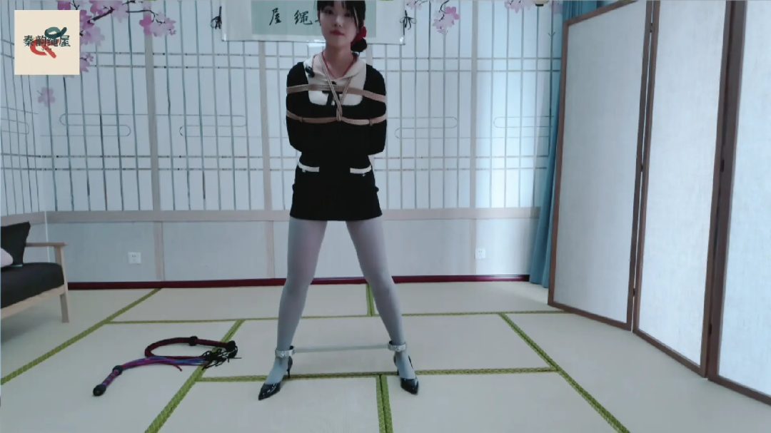秦韵绳屋 到绳屋盗窃的蠢贼