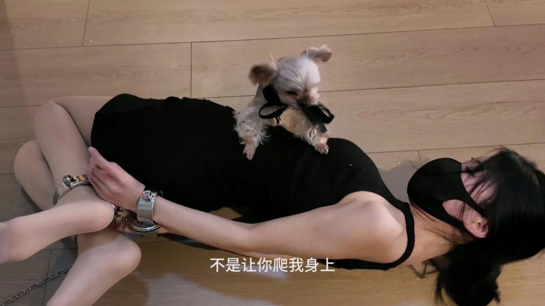 【白城出品】第十九部《人妻惩戒所 汤圆篇》（下集 完结）