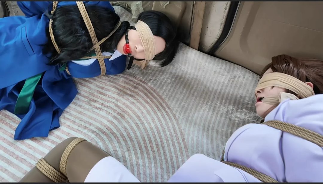 幻星大帝 李大侠原创-佳佳雅倩主演-《名侦探柯南》妃英理毛利兰母女遇袭之母女调教