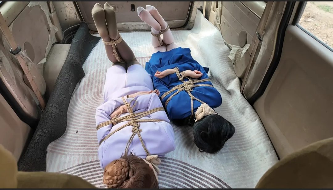 幻星大帝 李大侠原创-佳佳雅倩主演-《名侦探柯南》妃英理毛利兰母女遇袭之母女调教