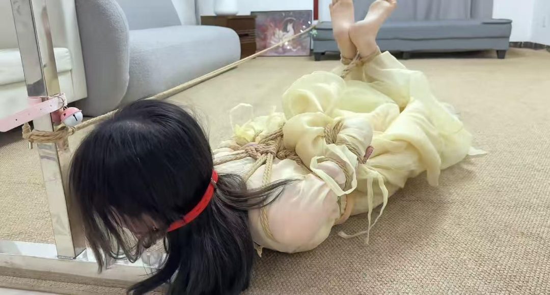 金宝工作室 新人推荐 木子 只只 妮妮 雨林 盖盖 奶贝