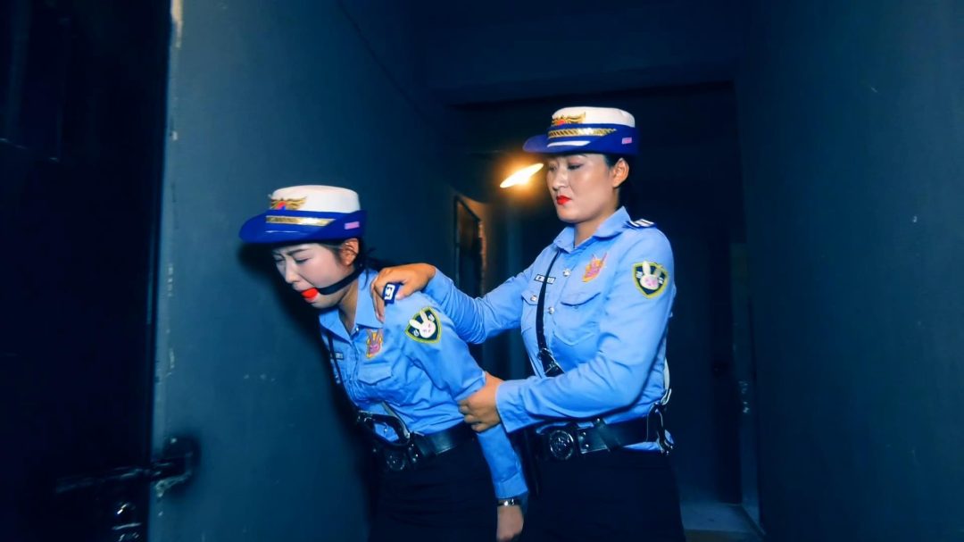 老王的两个女仆