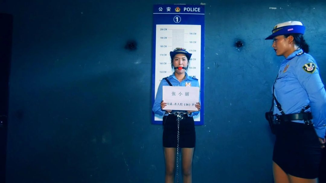 老王的两个女仆