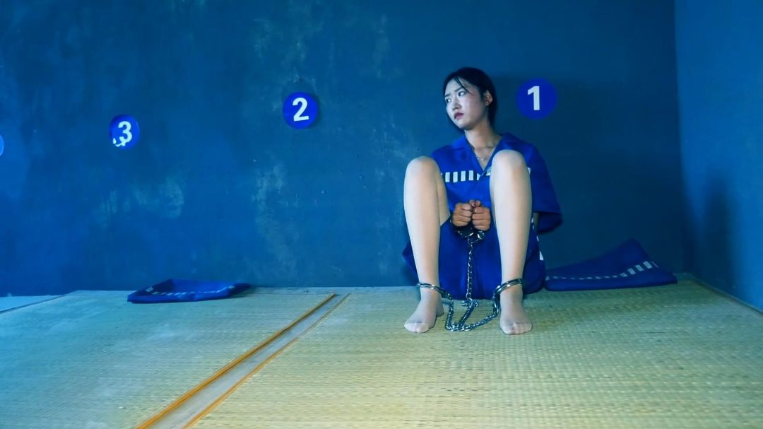 老王的两个女仆