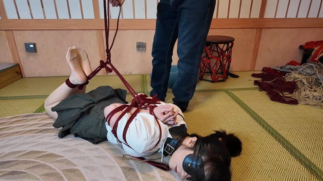 客户体验之喵喵