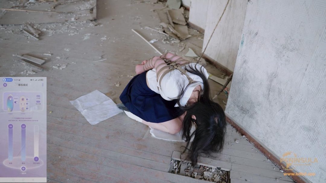 【半岛束艺台】【幼狮】老房有喜