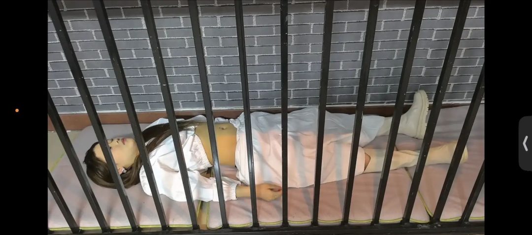 （精致订拍）女特工米圈的劫难