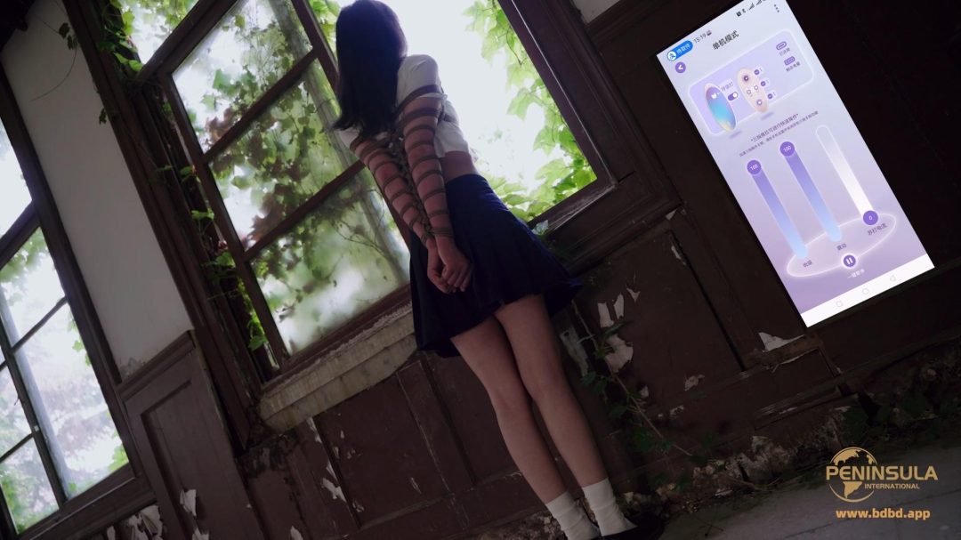 【半岛束艺台】【幼狮】老房有喜
