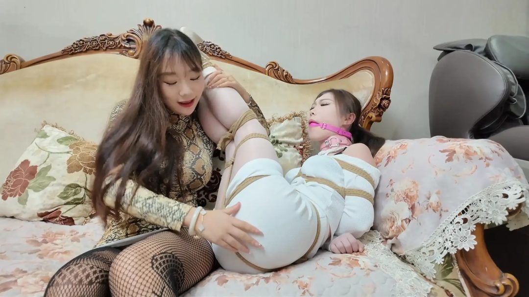 彩虹与黑猫·黑猫小分队·蛇鼠双调莫璃护小白