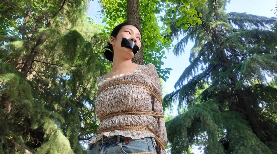 500万的劫难