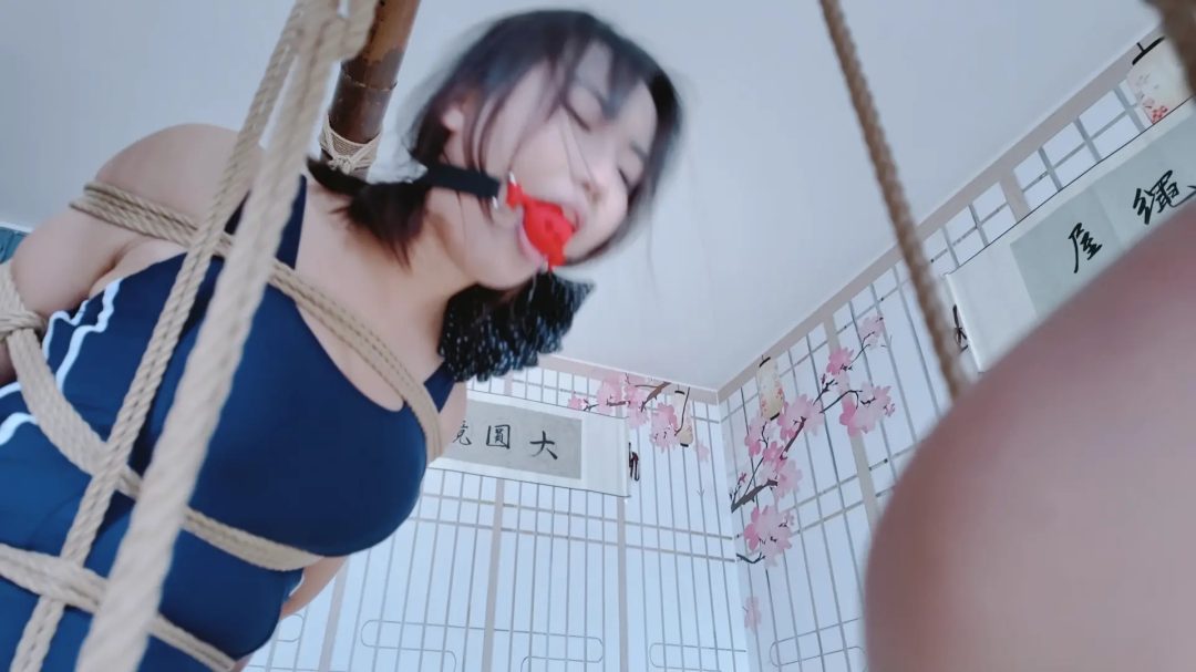 秦韵绳屋 窃贼报复记（下）