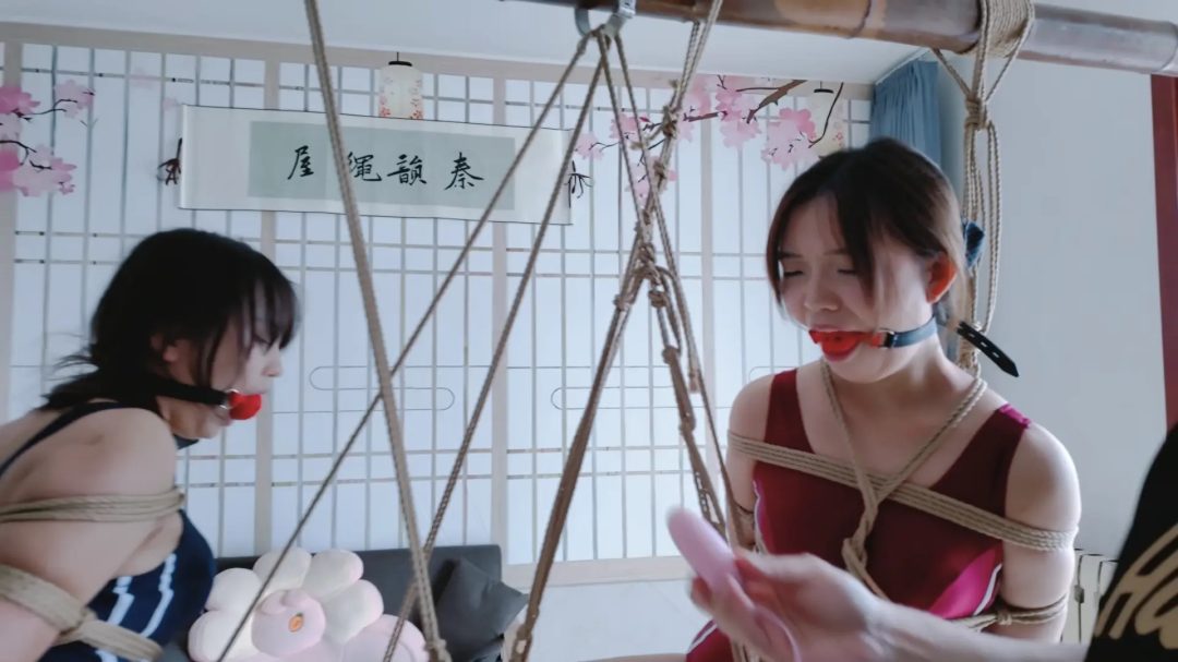 秦韵绳屋 窃贼报复记（下）
