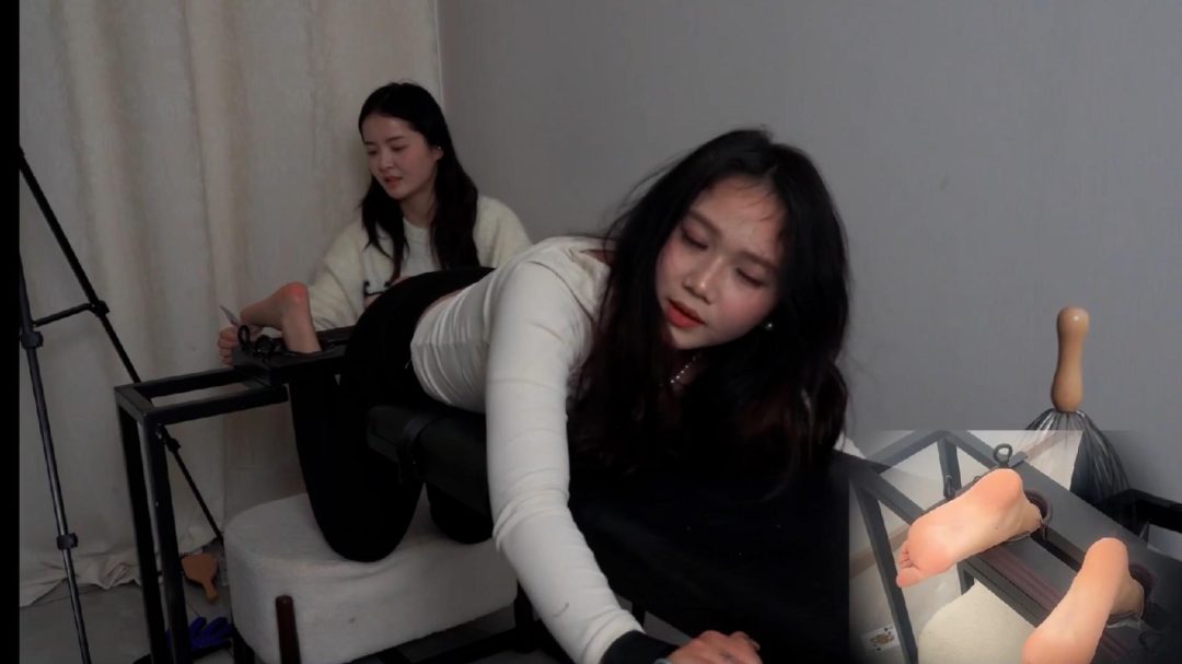【灯火】— 圆脸沐沐TK