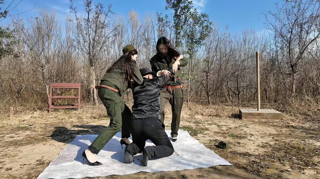 女特工除奸