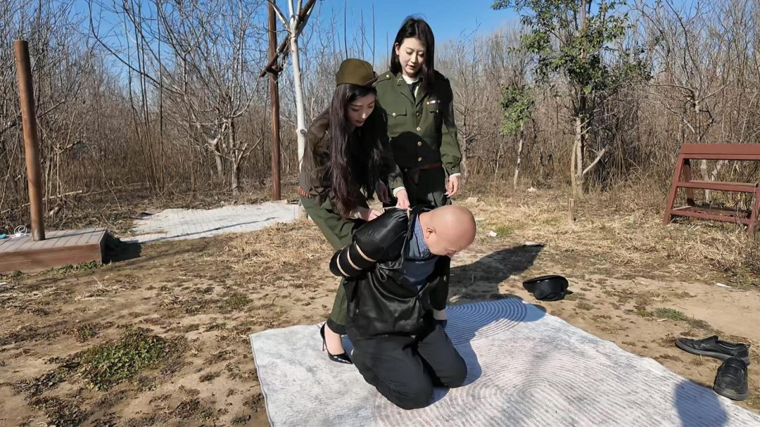 女特工除奸