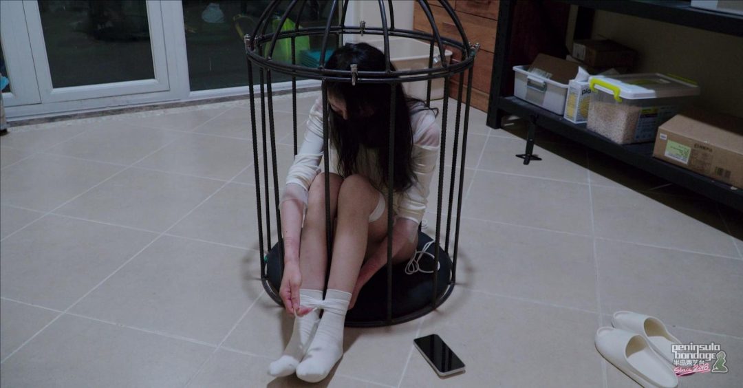 【半岛束艺台】【幼狮】被定时锁统治的1小时