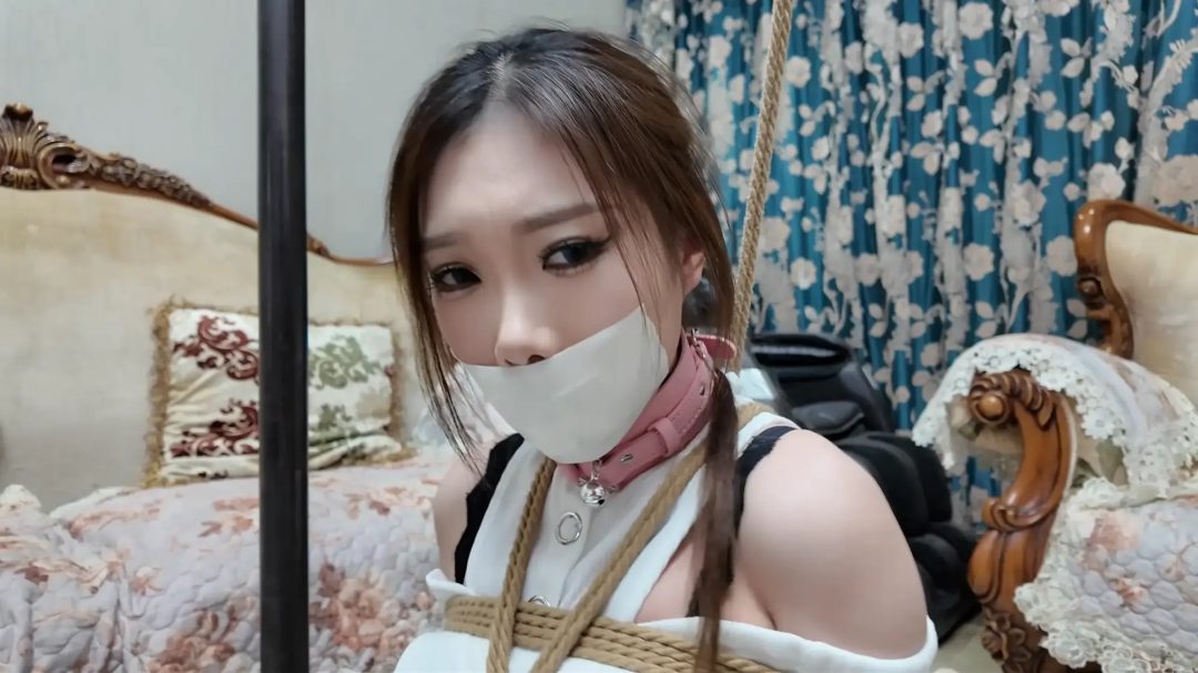 彩虹与黑猫·黑猫小分队·黑白蛇争艳妙计擒鼠