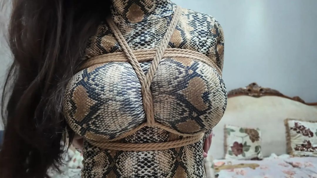 彩虹与黑猫·黑猫小分队·黑白蛇争艳妙计擒鼠