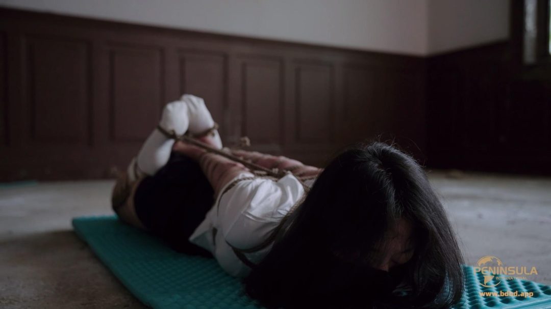 【半岛束艺台】【幼狮】老房新事
