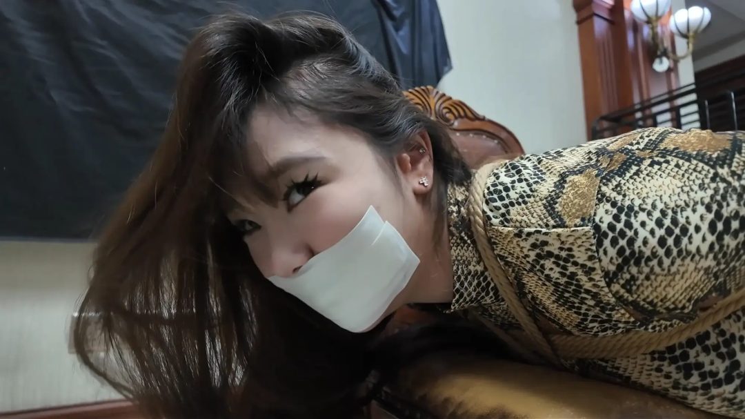 彩虹与黑猫·黑猫小分队·黑白蛇争艳妙计擒鼠