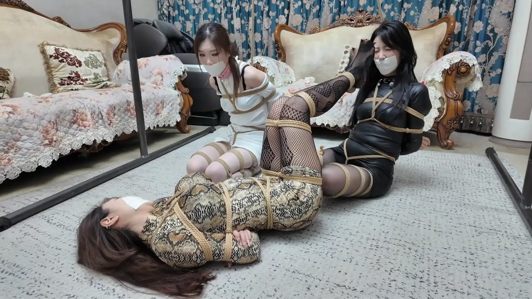 彩虹与黑猫·黑猫小分队·黑白蛇争艳妙计擒鼠