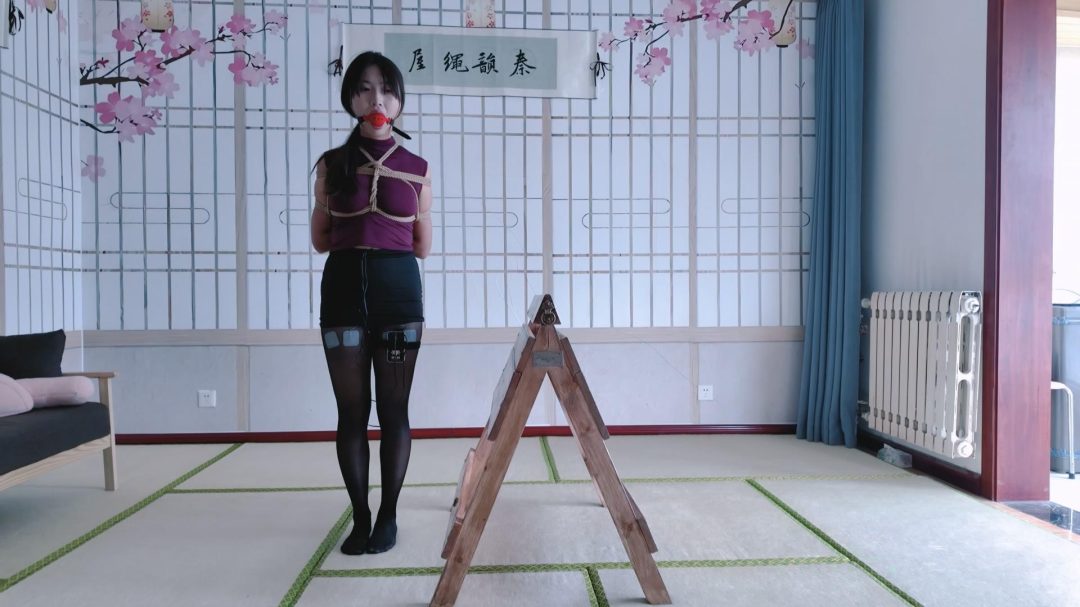 秦韵绳屋工作室定拍：玖儿木马吊缚郊狼电击 疼的崩溃大哭
