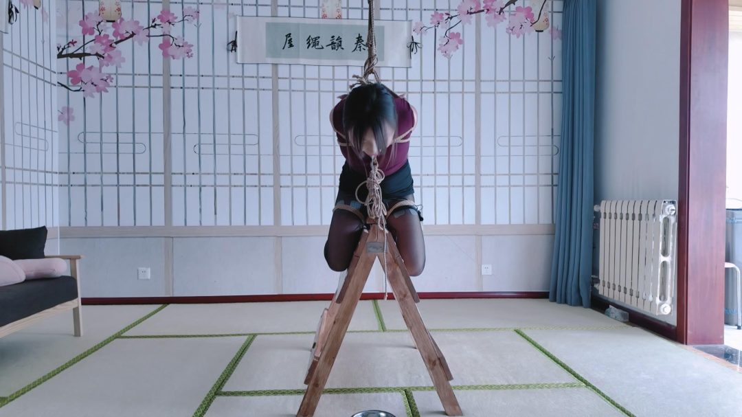 秦韵绳屋工作室定拍：玖儿木马吊缚郊狼电击 疼的崩溃大哭