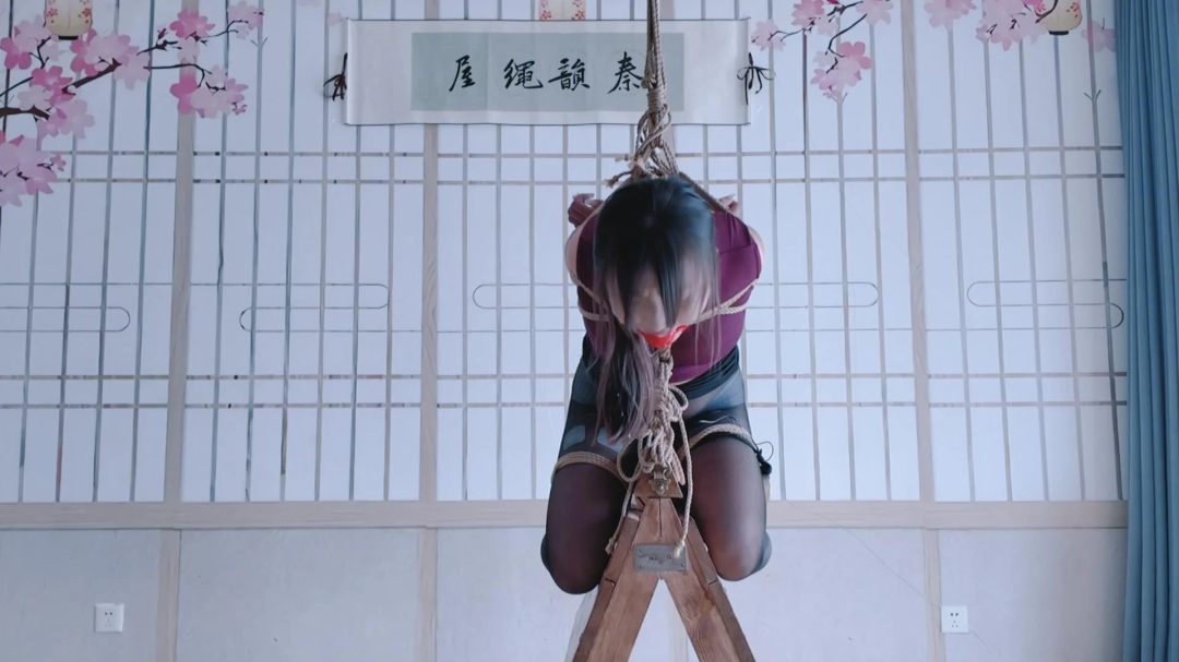 秦韵绳屋工作室定拍：玖儿木马吊缚郊狼电击 疼的崩溃大哭