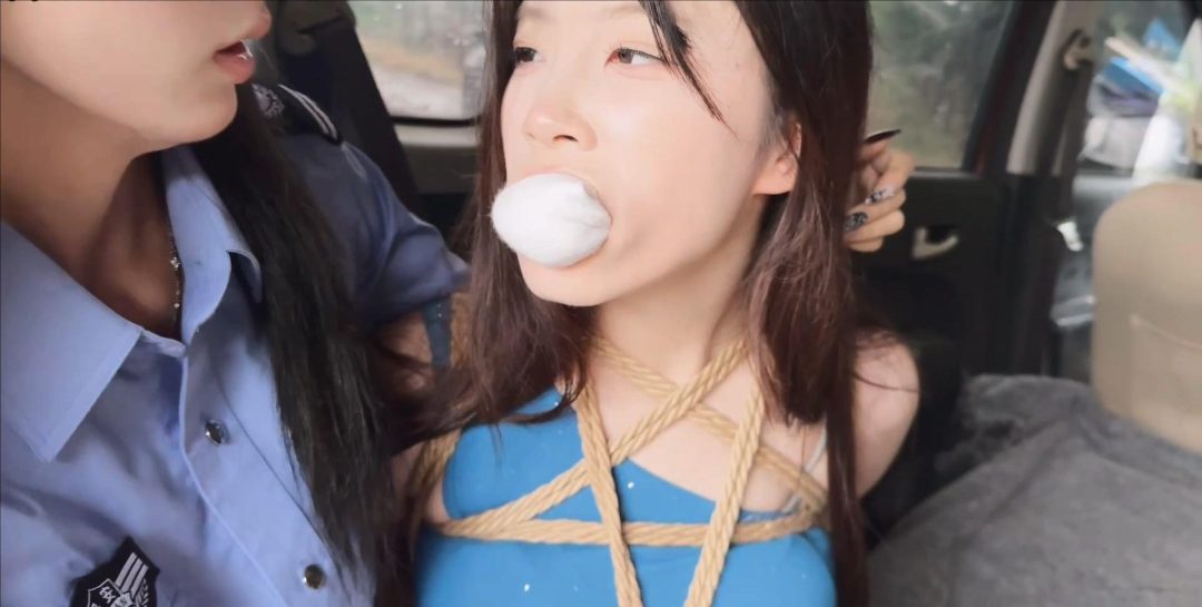 金宝定制《野外车劫》第一集