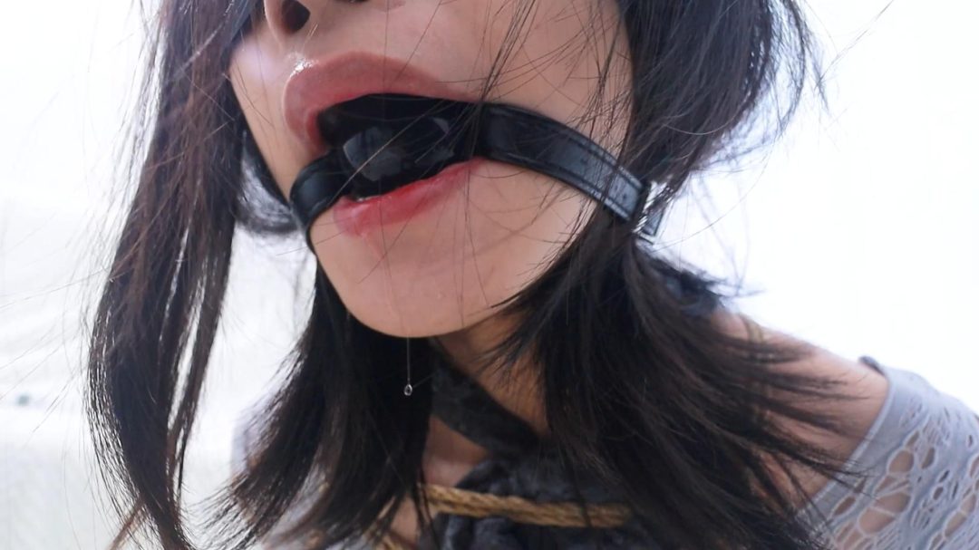 皆非定拍-合租女室友的秘密（最终篇）行李箱里的小狗：最后的疯狂束缚告别！装箱+自缚+口水直流