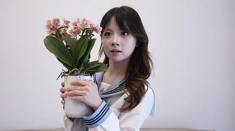 【定拍转公映】不良摄影师