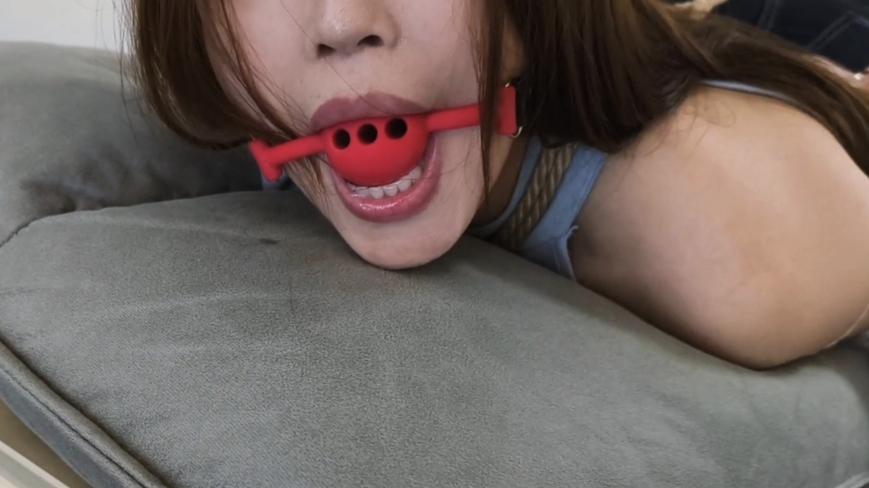 【禾一原创】（私人订制）《威胁小妹》紧缚 驷马口球流水 嘴吊袜子捡球等元素