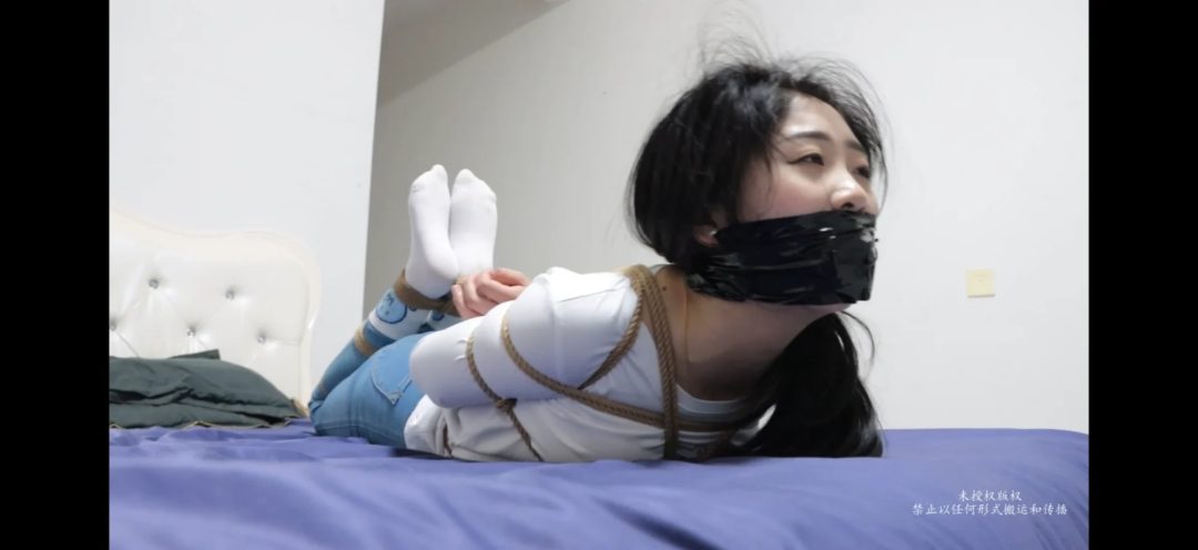 小姐姐家中劫