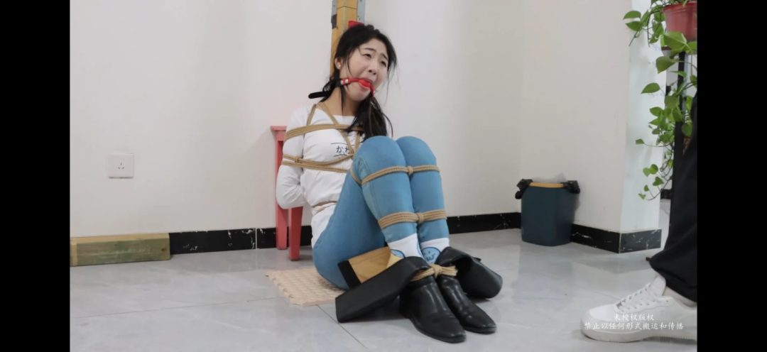 小姐姐家中劫