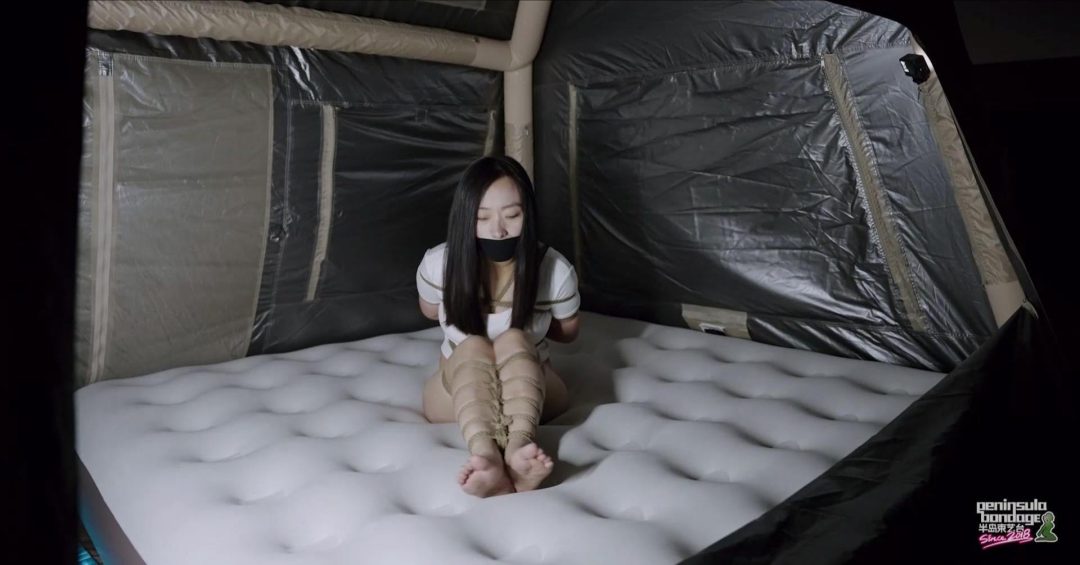 【半岛束艺台】【奎因】黑夜里的一丝光明
