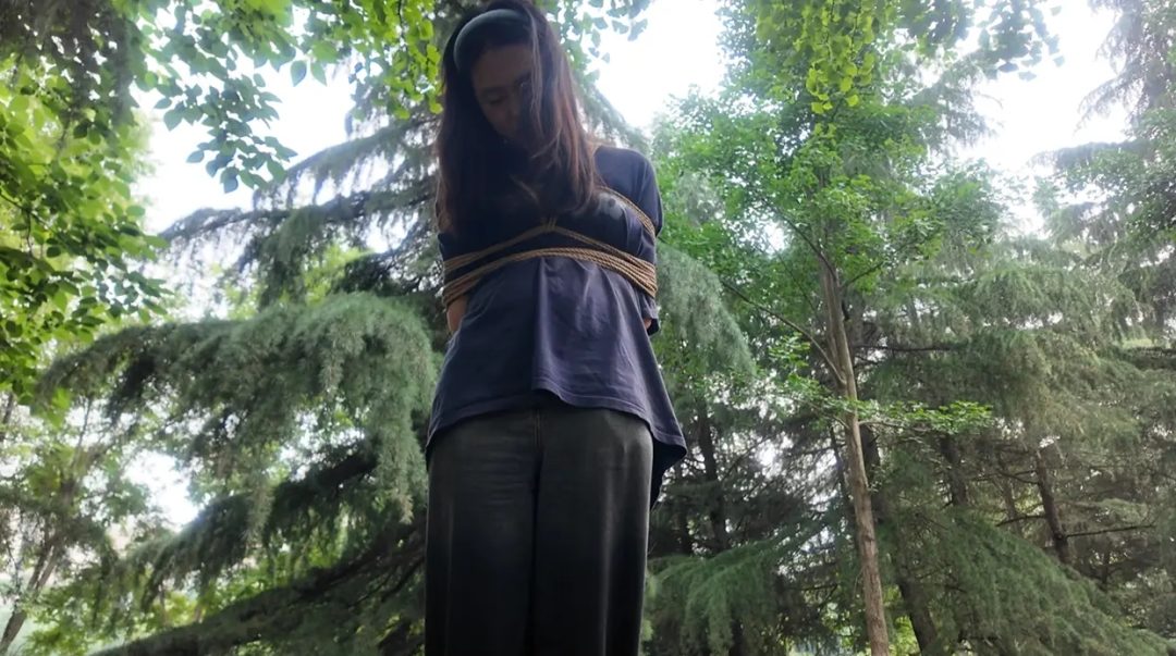 我放走了小三