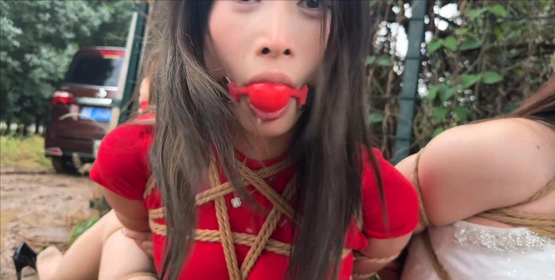 金宝定制《野外车劫》第四集 完结篇