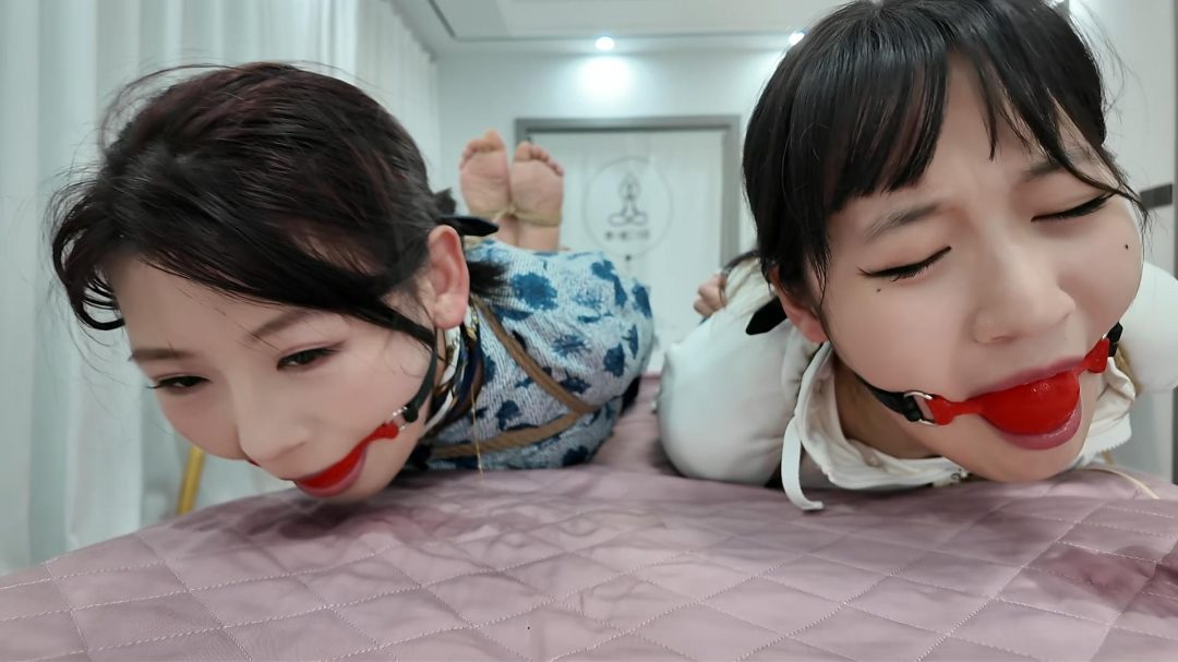 绑架之姐妹花琴、倩