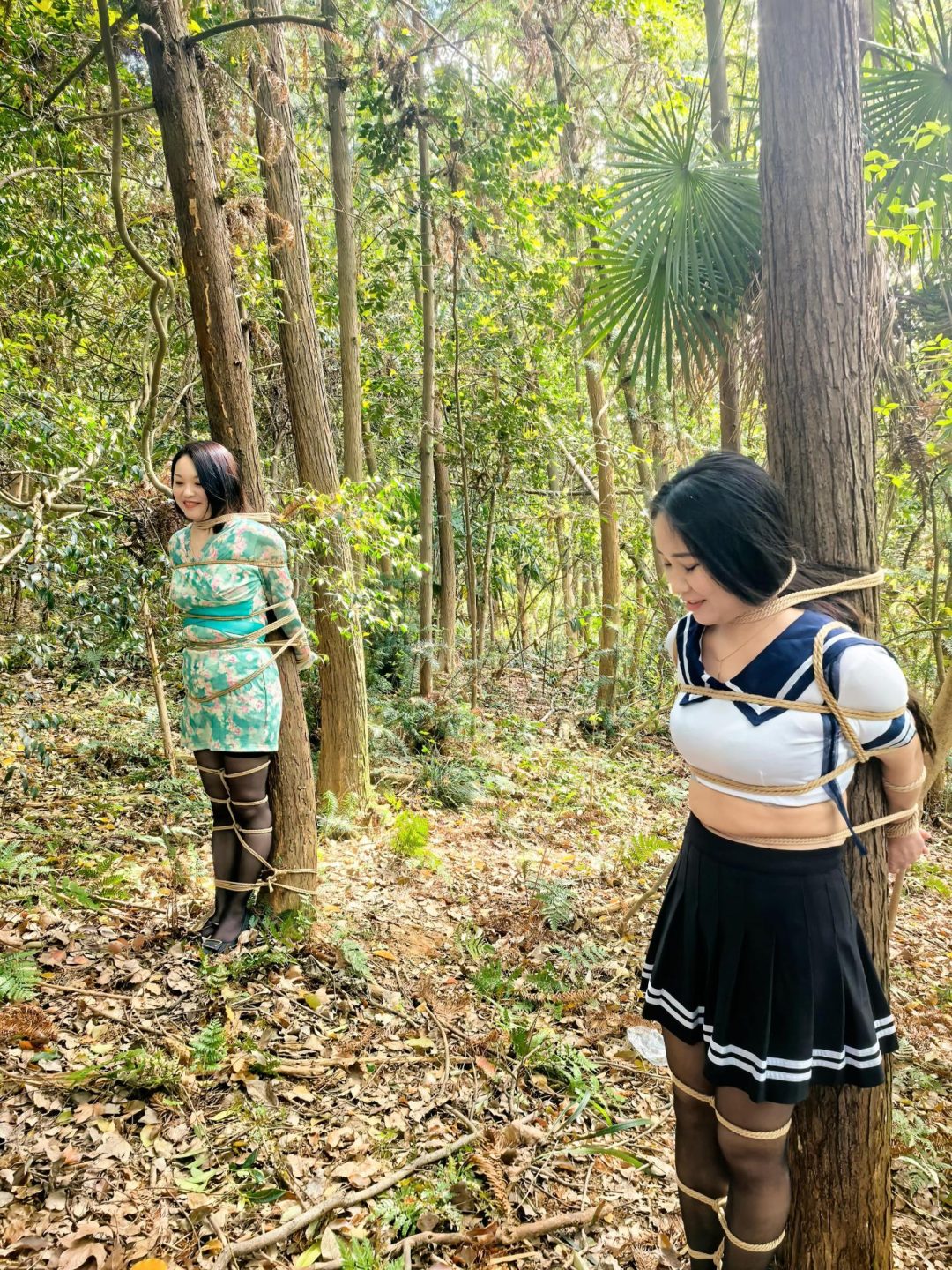 客户体验约绑户外的小树林