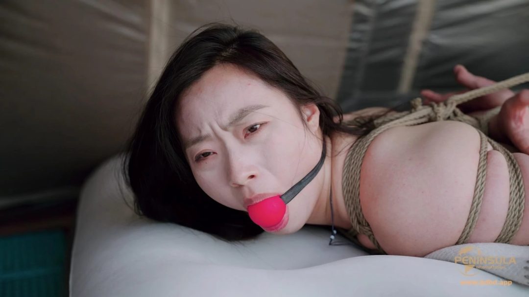 【半岛束艺台】【奎因】说了几百遍了，白天不要做梦