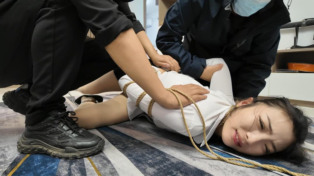 卧底之踼 上