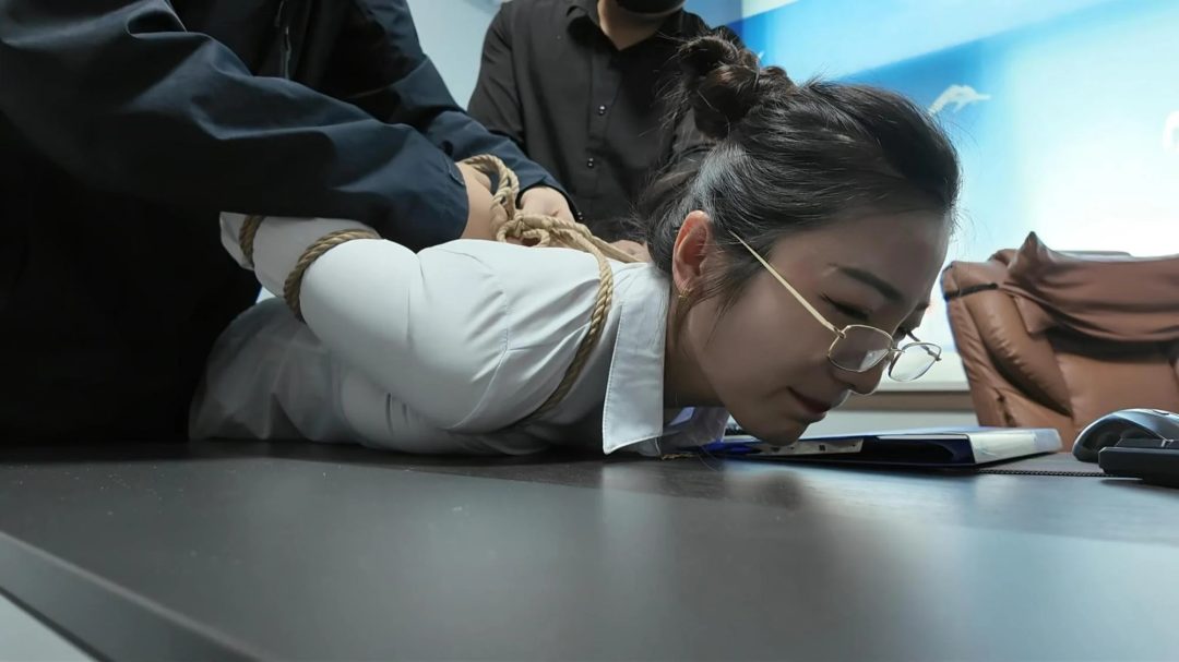 卧底之踼 上