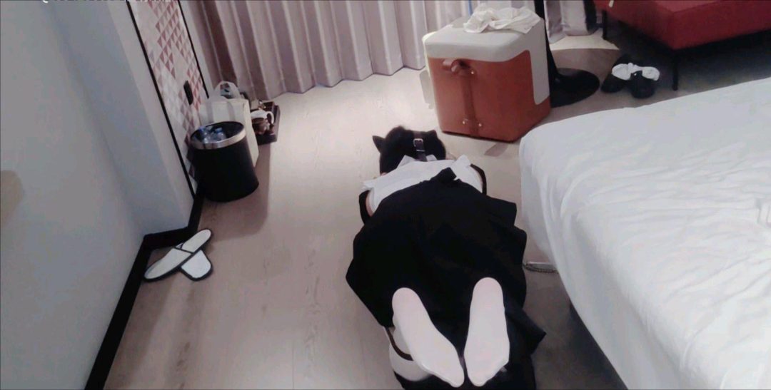 小鸟cos修女首次尝试k9套装