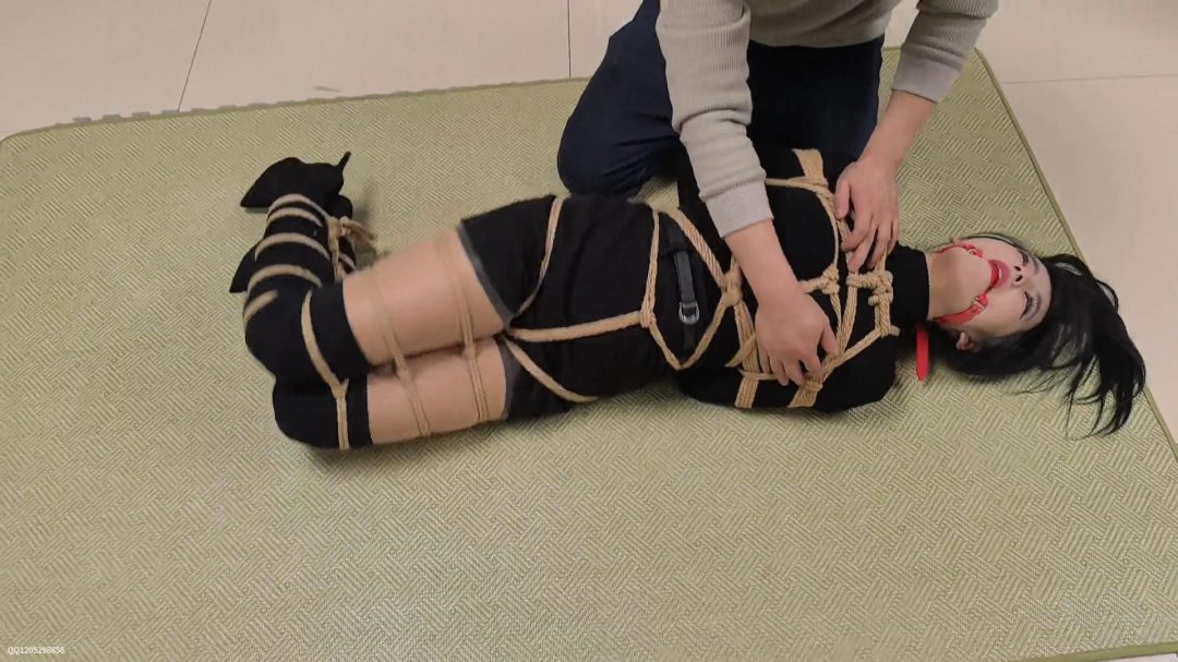 蝴蝶入室捆绑合集