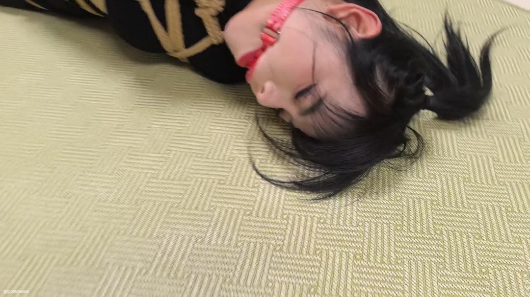 蝴蝶入室捆绑合集