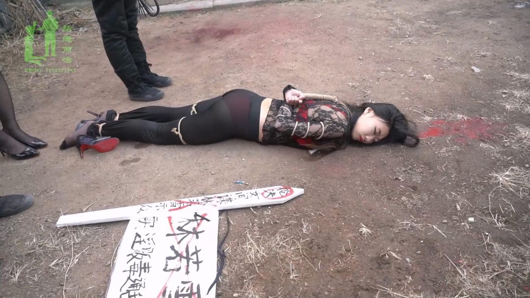 【结绳而治】贱谍末日