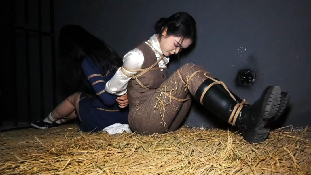 女烈大片~定拍转公映《狱骨双姝》在沦陷区两名地下女同志在秘密接头时被叛徒出卖被捕遭受各种酷刑后英勇就义