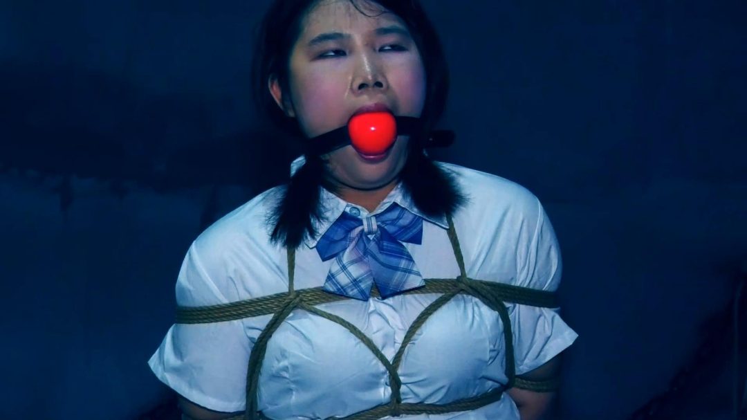 X架下的女仆 X架下的女仆