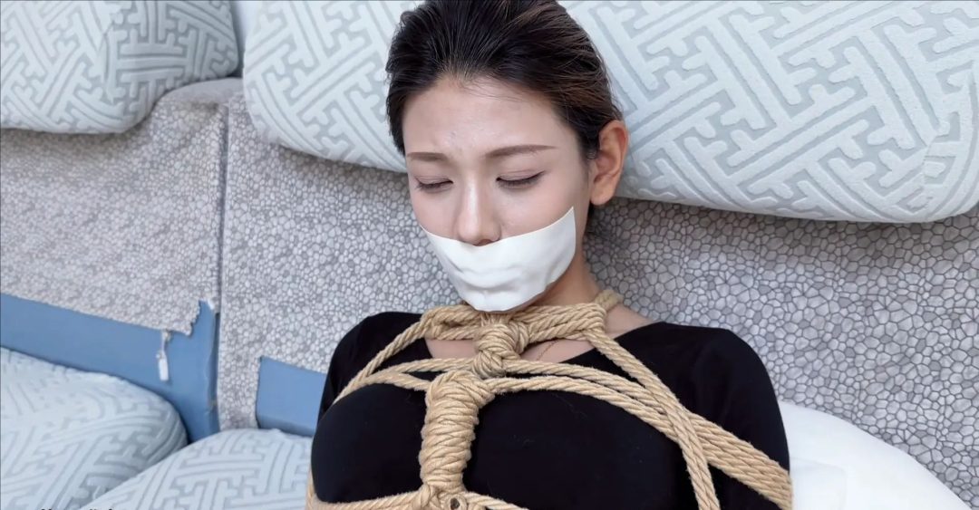 DID情节片 灵儿劫